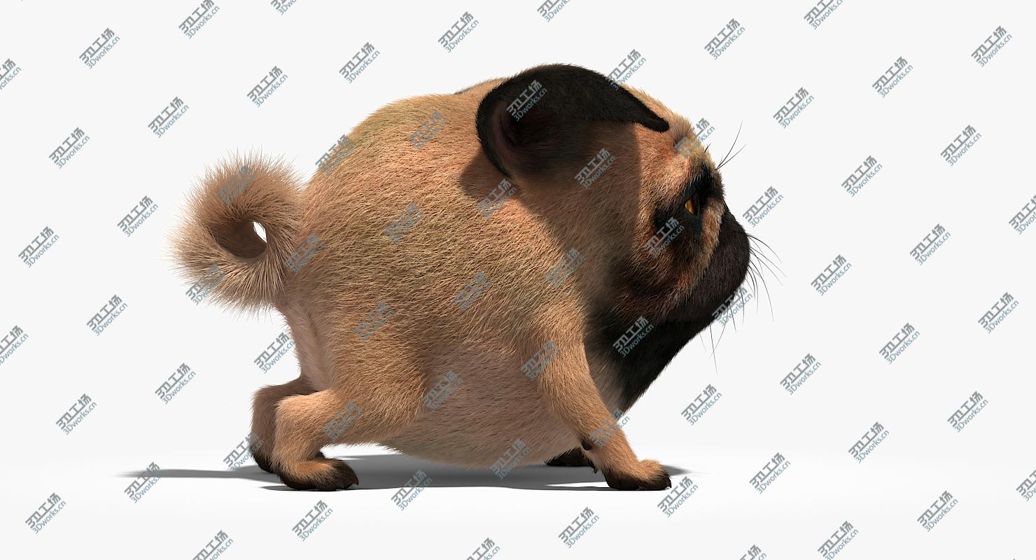 images/goods_img/202104023/Pug (Rigged) 3D model/4.jpg